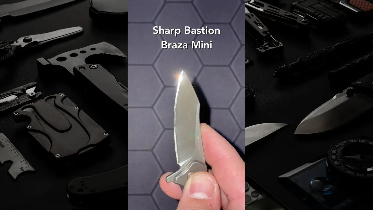 Sharp Bastion Braza Mini, D2 steel #shorts #knifesharpening