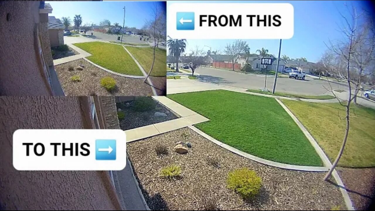 GOLF COURSE LIKE GRASS INSTANTLY!