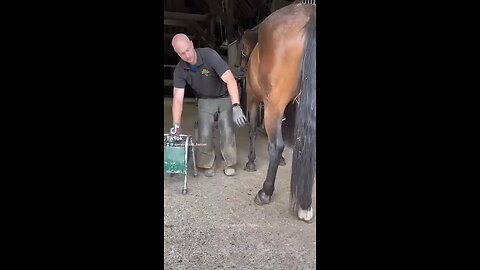 Horse riding