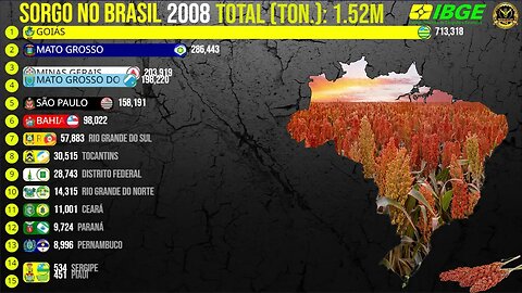 Os Maiores Produtores de SORGO do Brasil