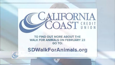 CCCU SD Walk for Animals