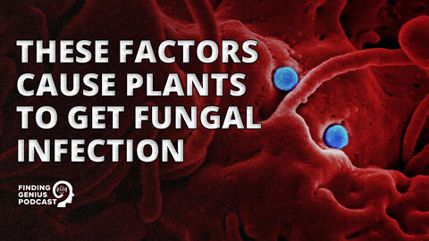 Surprising Plants That Can Get Fungus #shorts