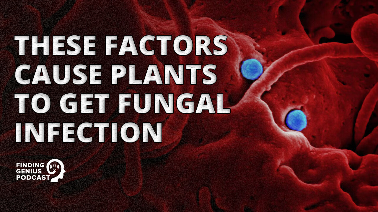 Surprising Plants That Can Get Fungus #shorts