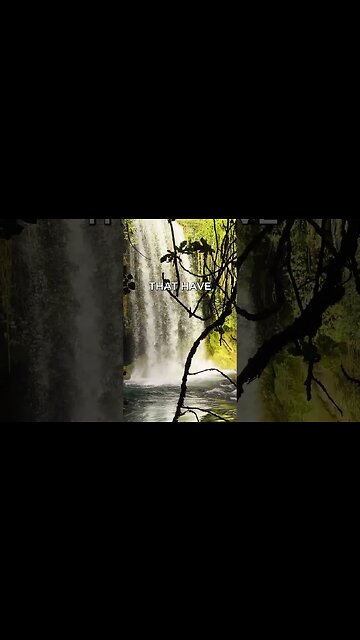 Listen to full meditations at Women's meditation network channel #meditation #sleep #shorts