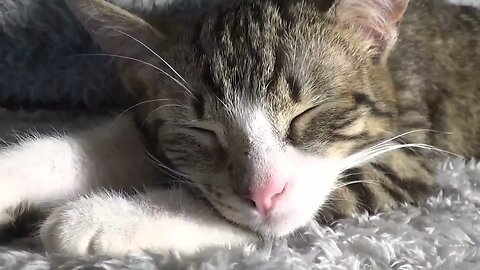 Go Away and Let Me Sleep