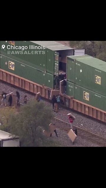 Chicago has gone Wild