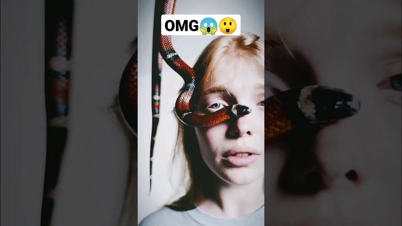 Omg😱 A snake bites girl | ua58sb #animals #snake @bbcearth @SnakeCentral