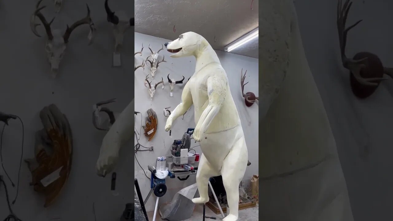 Kodiak Brown Bear Taxidermy Molds Are Huge!!