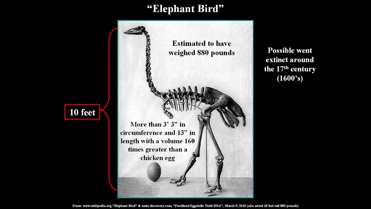 Other evidences of soft tissues in fossils "millions" of years old