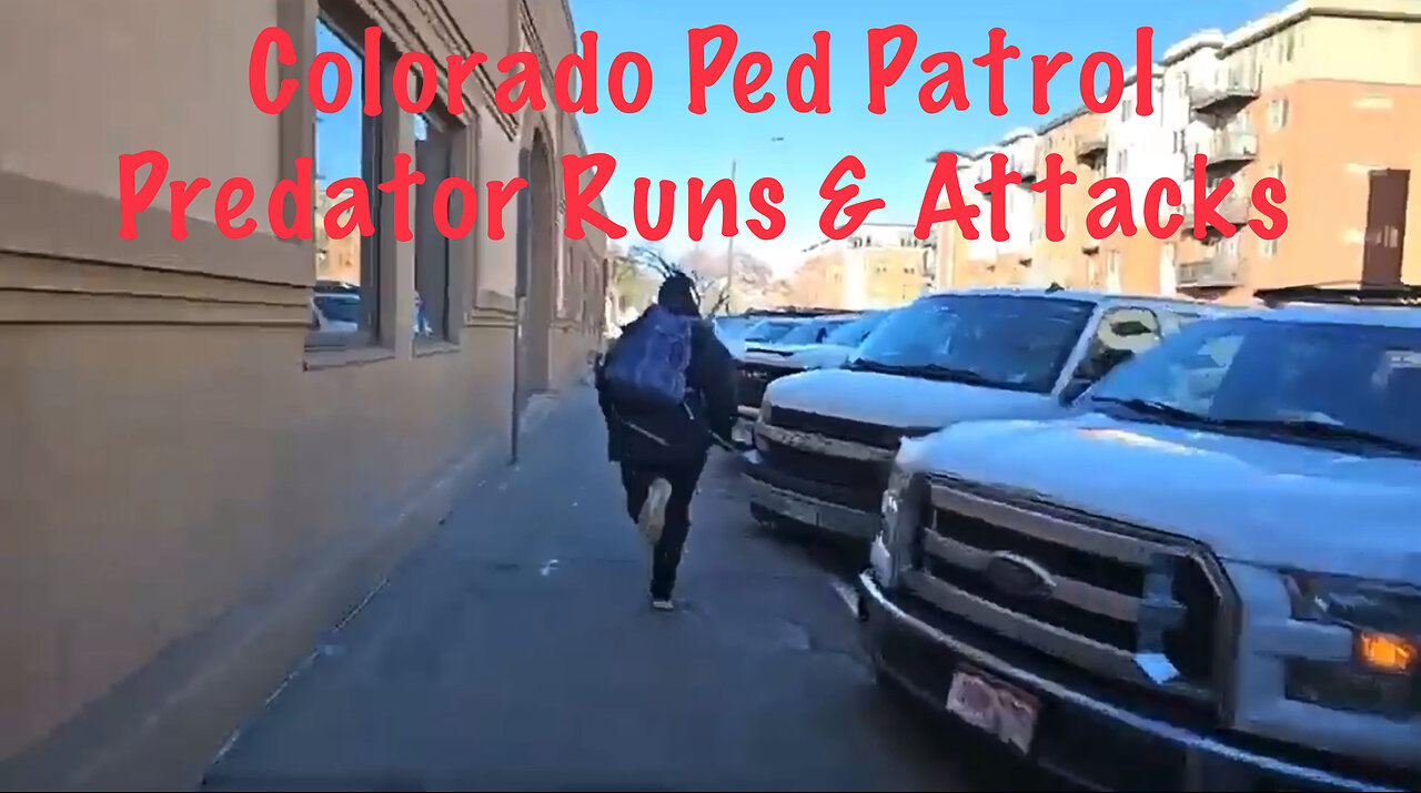 Colorado Ped Patrol Predator Runs & Attacks Tommy Questioned & Released by Police