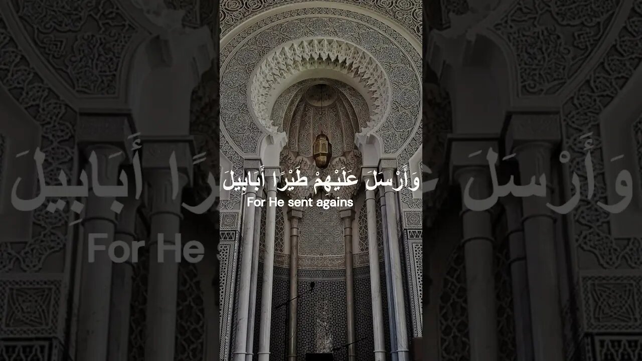 سورة الفيل تلاوة الإمام سعد الغامدي💗El Fil, Saad El Ghamidi