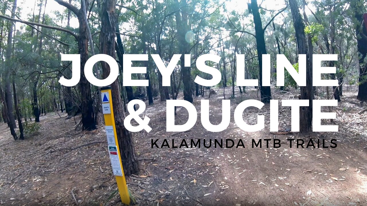 Joeys Line and Dugite | Kalamunda Circuit | Perth Mountain Bike Trails