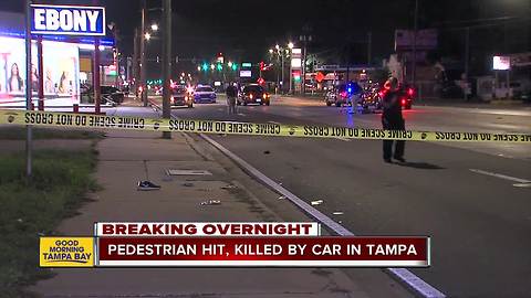 Pedestrian hit, killed on Hillsborough Avenue in Tampa