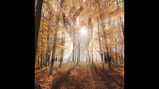 Opus Overtone - A Sign of Hope