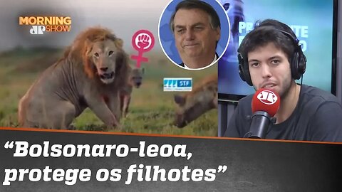 O “leão Bolsonaro” e as hienas no caminho, pelas lentes da fauna do Morning Show