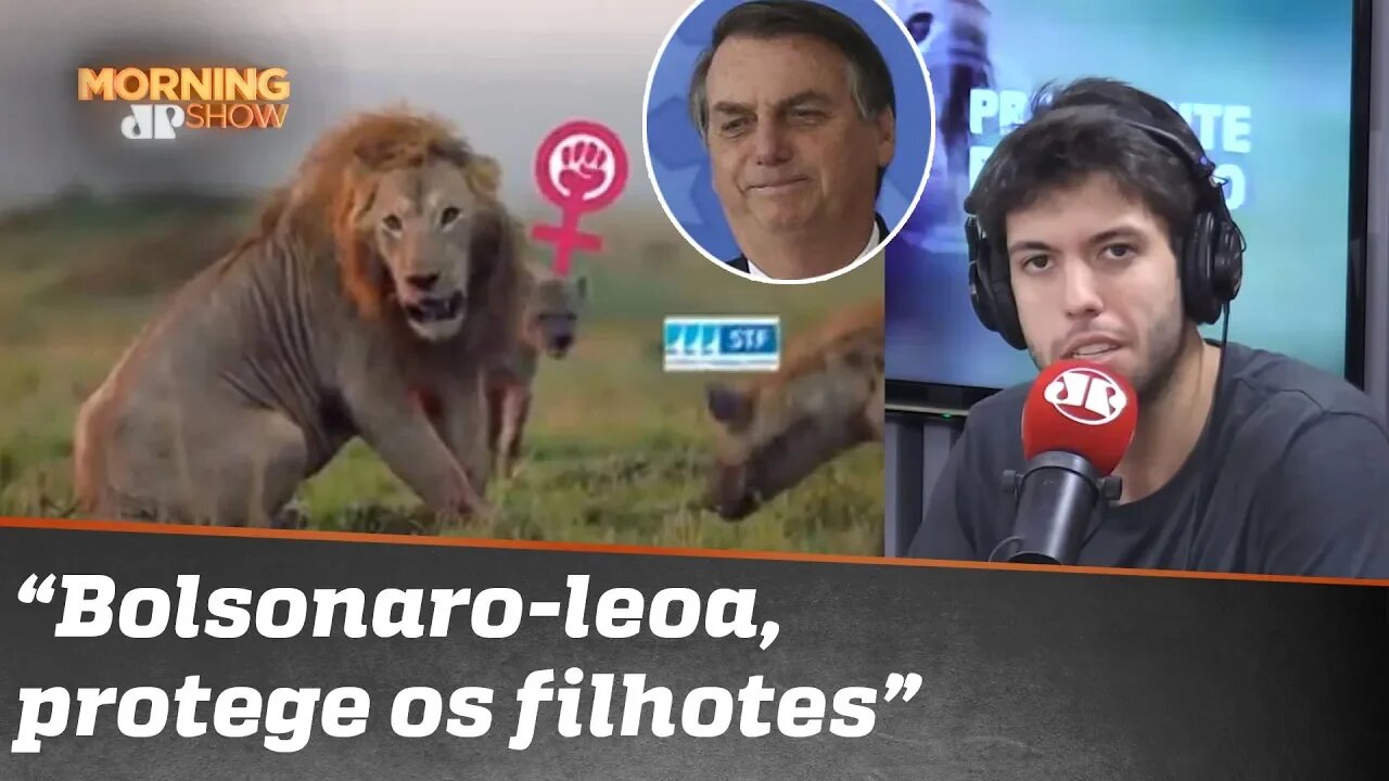 O “leão Bolsonaro” e as hienas no caminho, pelas lentes da fauna do Morning Show