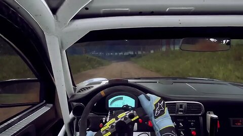 DiRT Rally 2 - 911 RGT Trailblazes Through Borysik