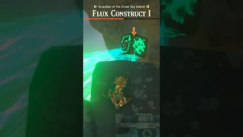 1st Time Battle | Guardian of the Great Sky Island - Flex Construct #zeldatearsofthekingdom #shorts