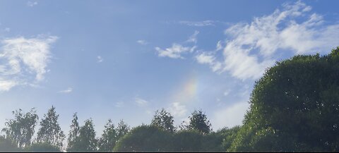 3.8.2024: Sun halo, halo color