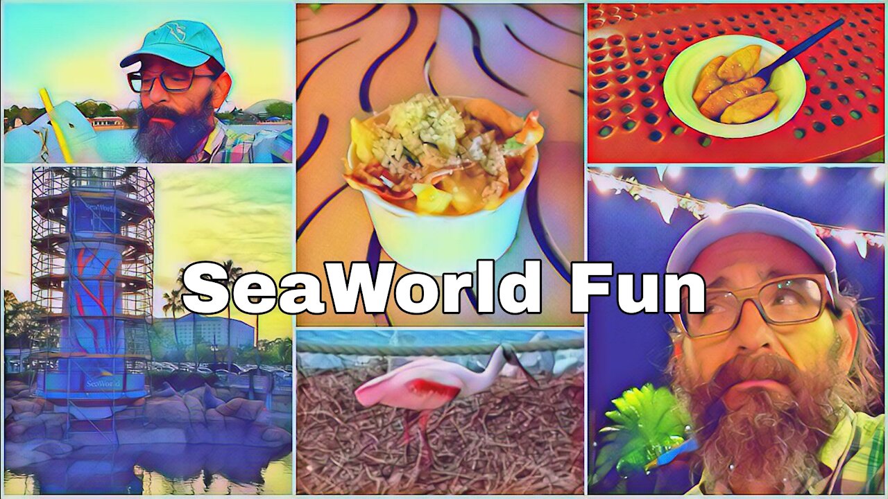 SeaWorld Evening Fun