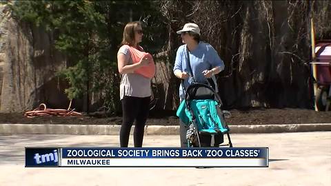 Zoological Society brings back 'Zoo Classes'
