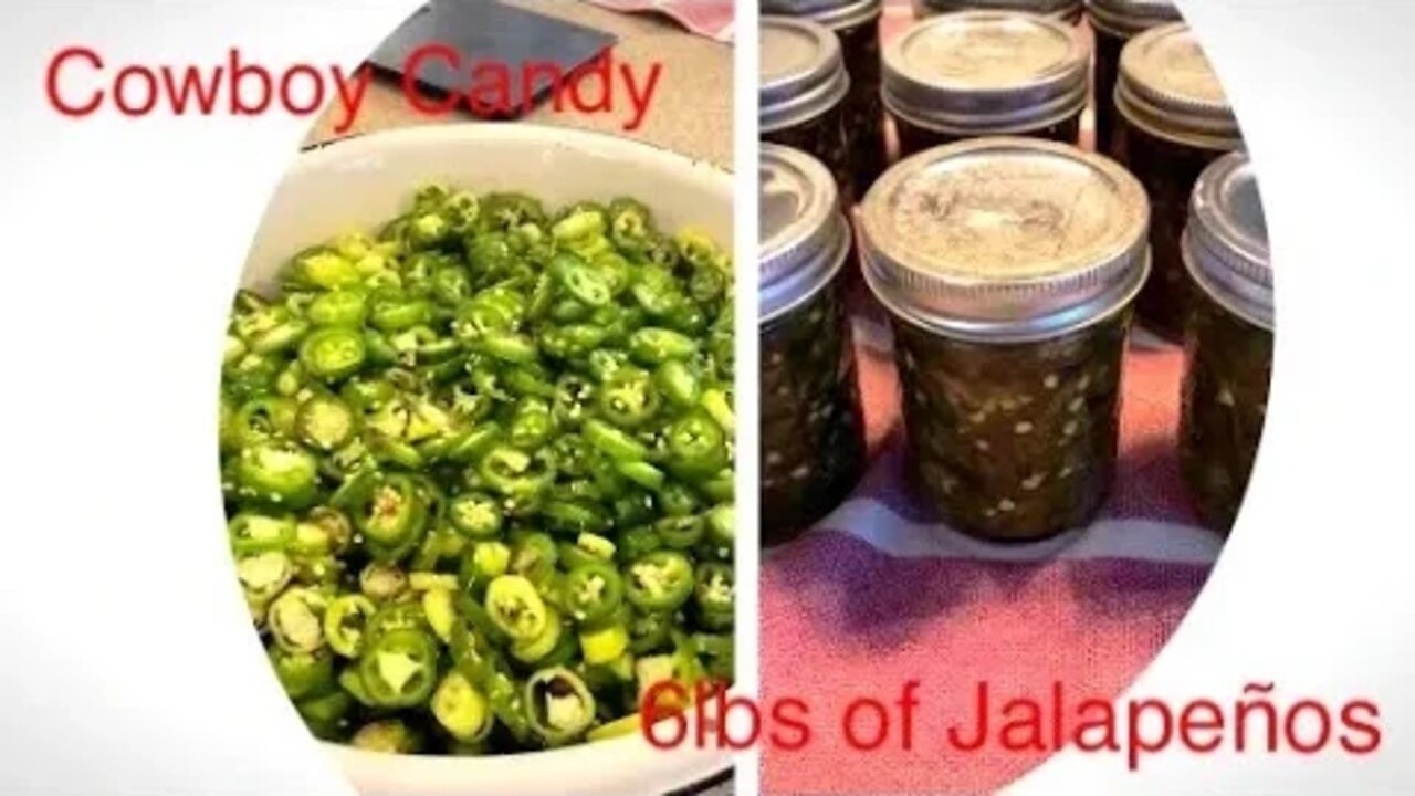 Preserving Jalapenos into Cowboy Candy