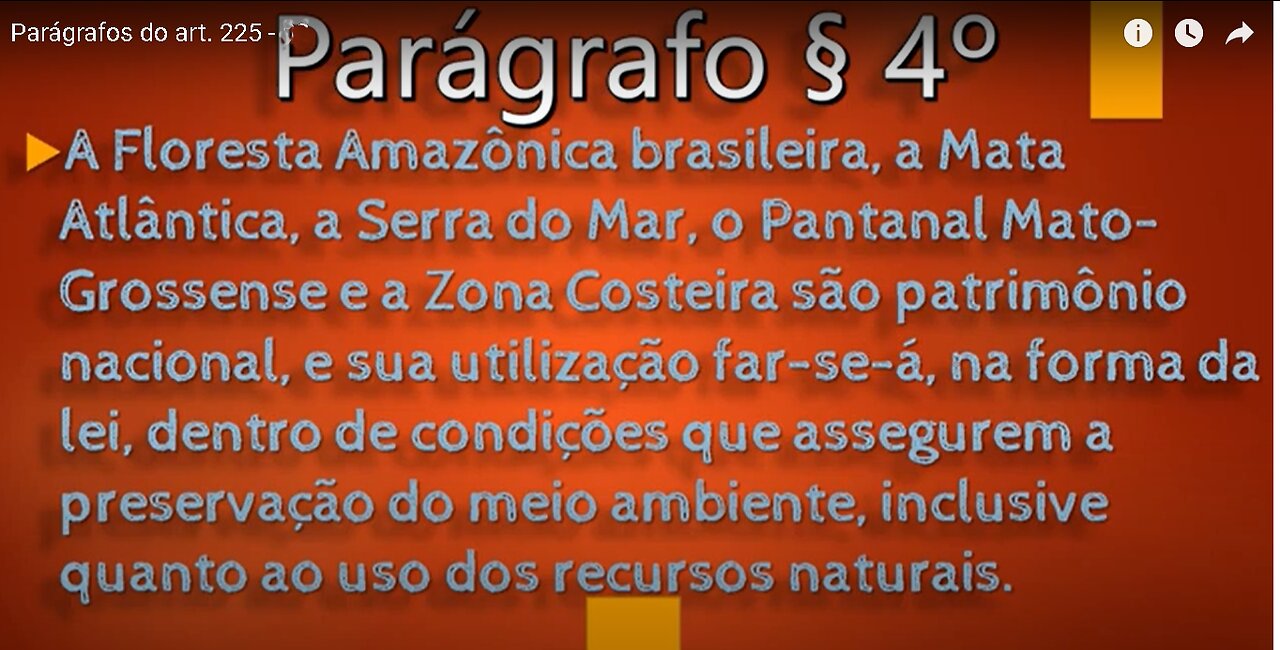 Paragraphs of art. 225 - Parágrafos do artigo 225-03