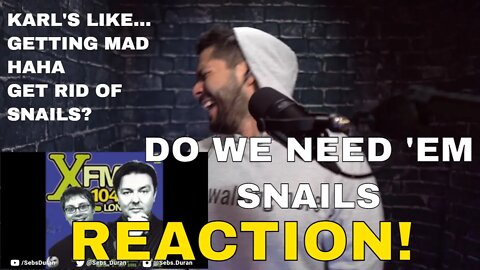 Sebs reacts to Do We Need 'Em | Snails | Dude Karl was kinda getting upset haha