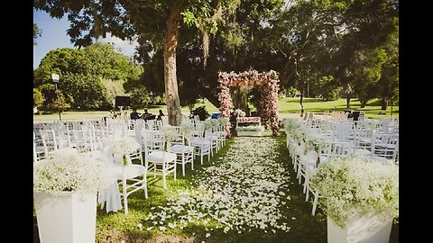 Sou alérgico a casamento!