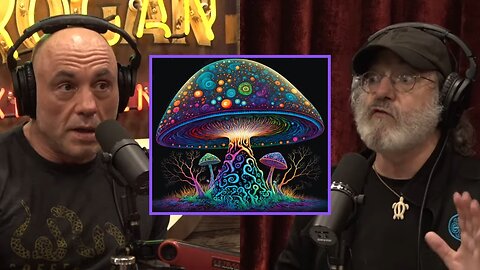 Joe Rogan: Paul Stamets Shares WILDEST Mushroom Trip Story