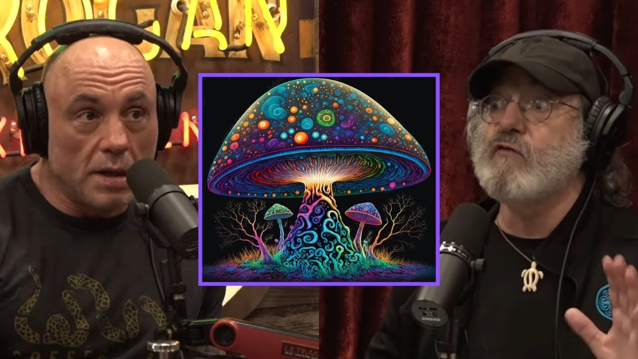 Joe Rogan: Paul Stamets Shares WILDEST Mushroom Trip Story