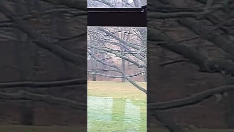 Rain? What rain?