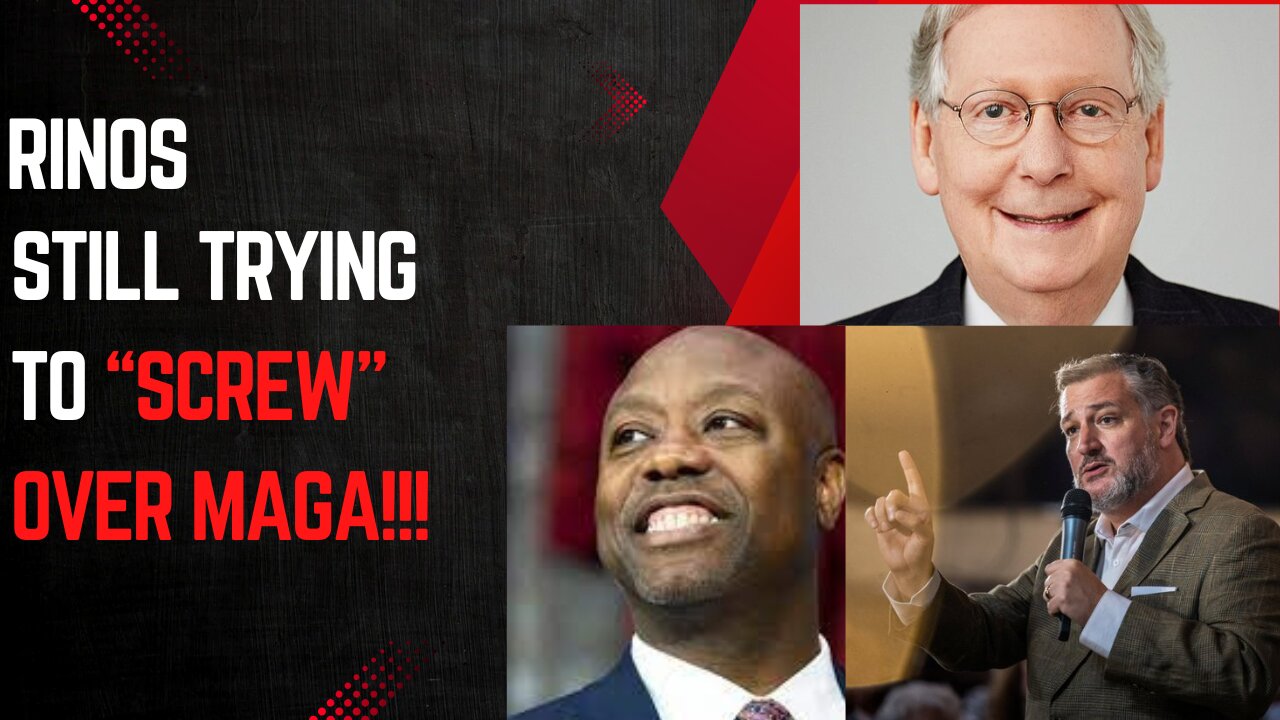 The Fight for the Senate and Party: RINOs Vs MAGA
