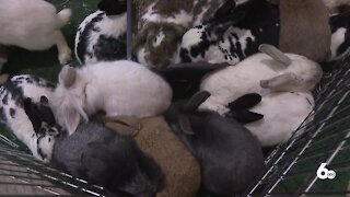 15th Annual Family Pet Expo at Expo Idaho
