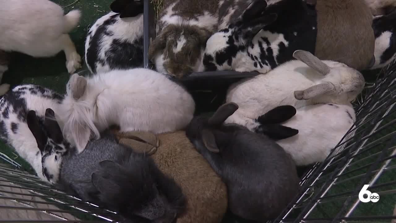 15th Annual Family Pet Expo at Expo Idaho
