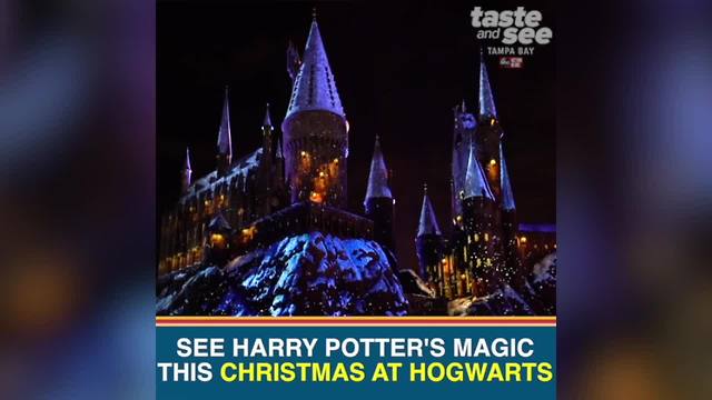 Experience the magic of Christmas in The Wizarding World of Harry Potter at Universal Orlando | Taste and See Tampa Bay