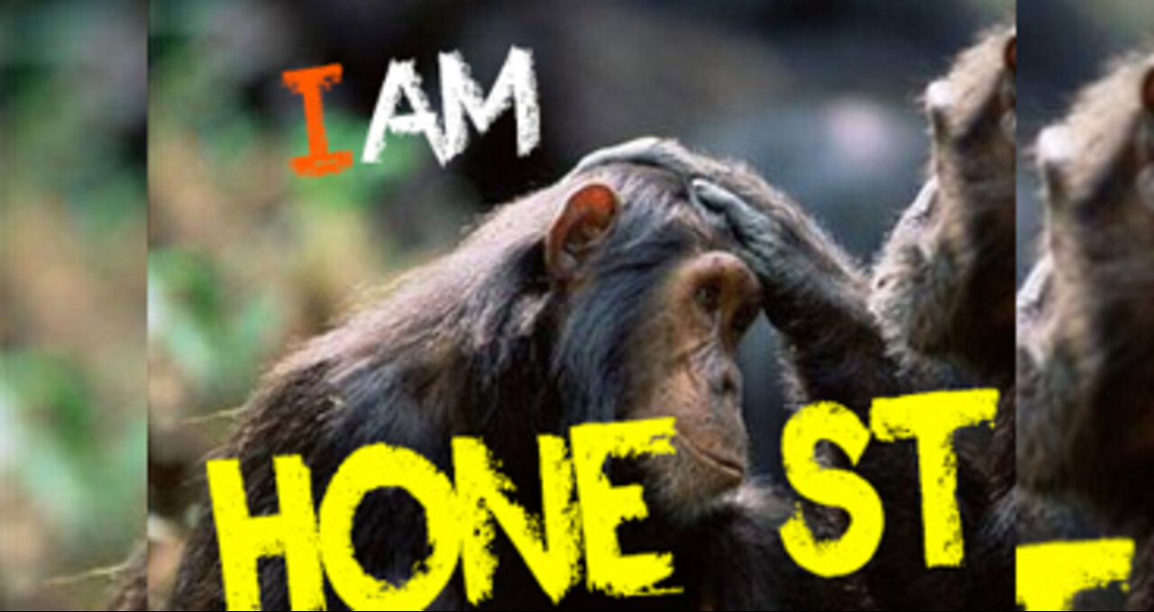 Girl dropped sun glasses at ZOO | Funny monkey