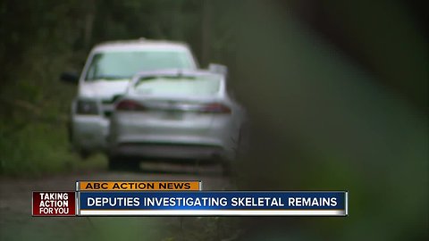Skeletal remains found in New Port Richey