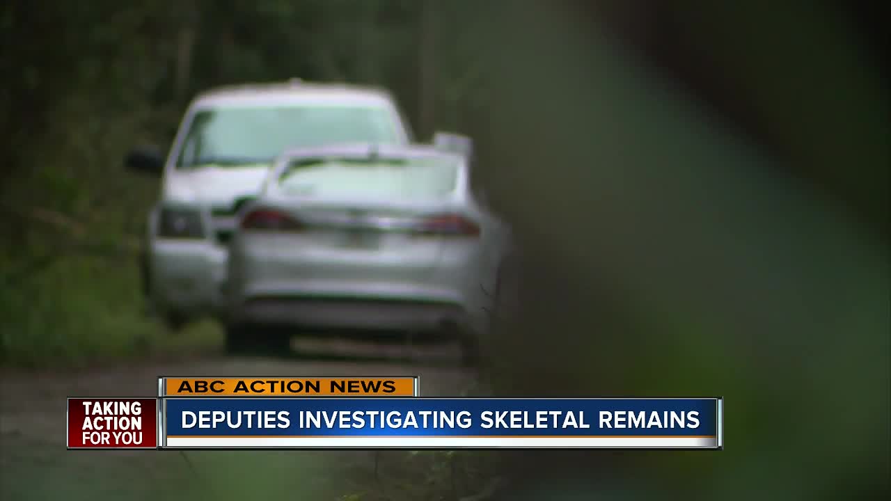 Skeletal remains found in New Port Richey