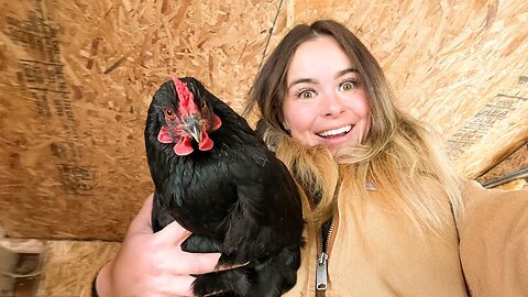 How To Care For Chickens In Extreme Winters