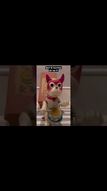 WOW! The BEST DOG Drummer on the Planet!!! 🙀 #shorts