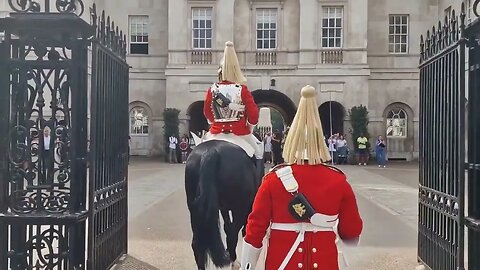 Horse arrives and thinks its times to go. Horse taken back to stables #horseguardsparade