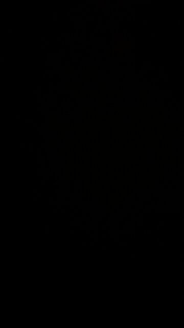 A bunch of Christmases