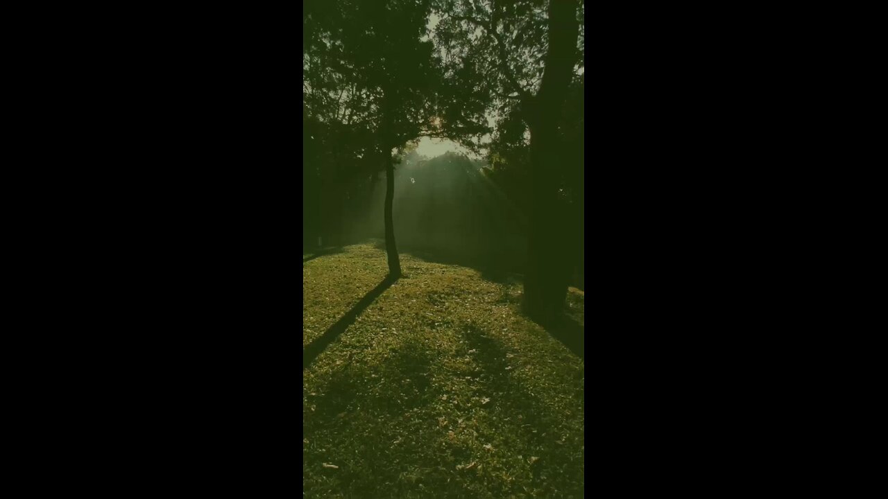 **We Pay Too Much Attention**