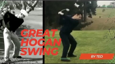 AWESOME HOGAN SUBSCRIBER SWING