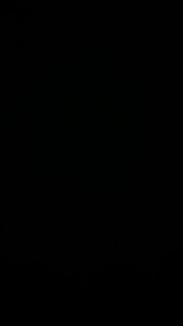 Whistling arrangement August 4 2024 number 2