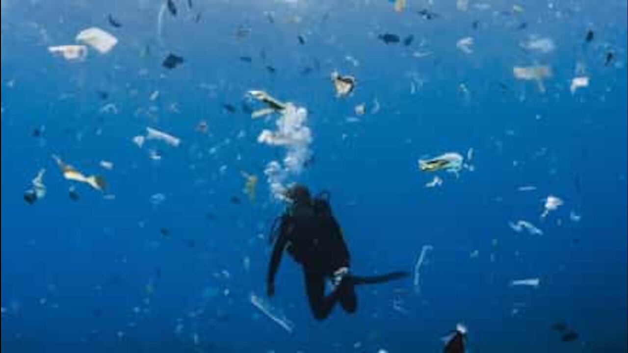 Plongeon dans une mer de déchets