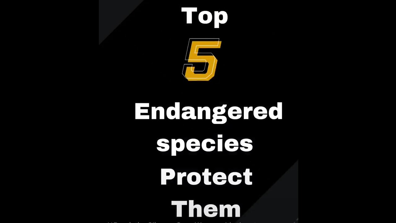 Protect them: Top 5 Endangered Species