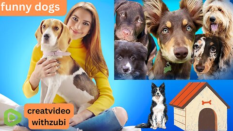 Funny Animal Videos 2023 😅