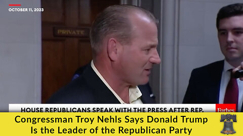 Congressman Troy Nehls Says Donald Trump Is the Leader of the Republican Party